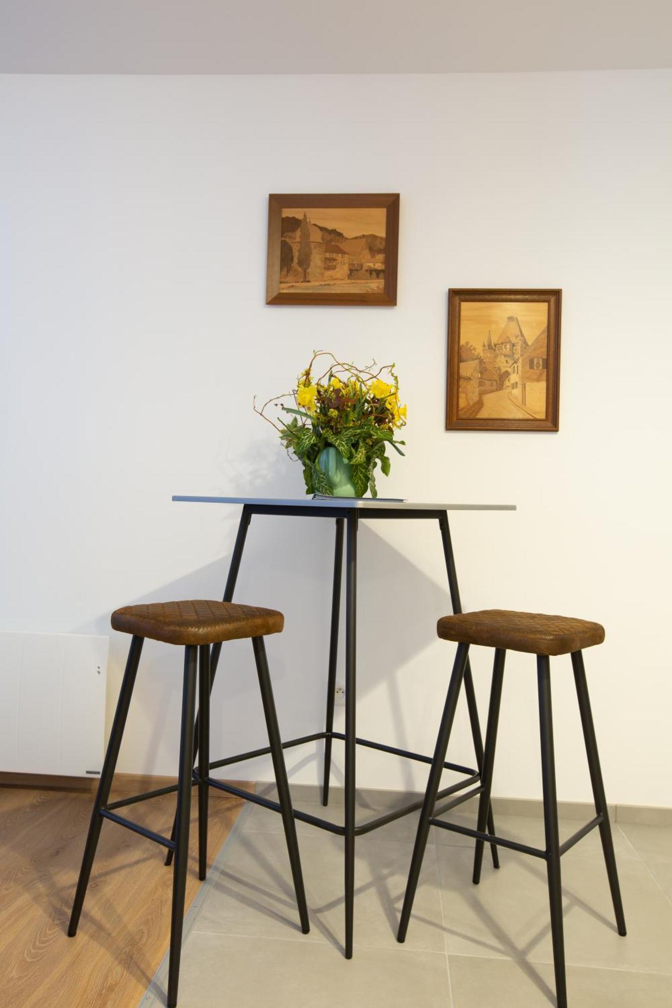 Le Rhenanus Jacques Taurellus - Appartement Duplex Au Calme - Centre Ville - Parking Gratuit Sélestat Екстериор снимка